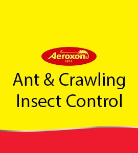 Ants & Crawling Insects